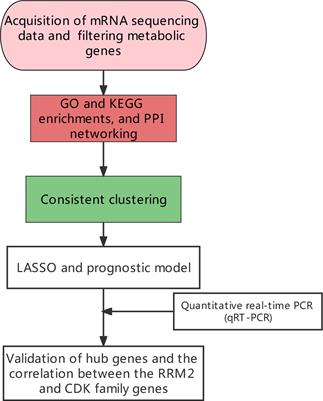 Comprehensive Analysis of Immune-Related Metabolic Genes in Lung Adenocarcinoma